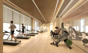 2 Gymnasium